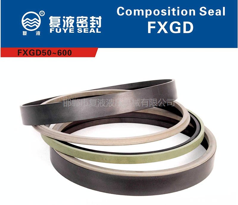 FXGD孔用組合密封